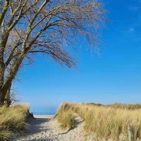 Haus Belvedere In Sehlendorf Дом отдыха